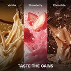 Basic Whey Protein